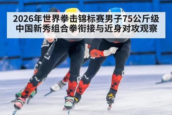2026年世界拳击锦标赛男子75公斤级 中国新秀组合拳衔接与近身对攻观察